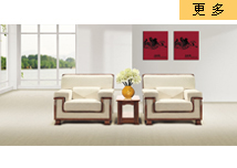 南京贵宾沙发，南京办公沙发贵宾接待沙发设计，南京沙发公司贵宾室解决方案
