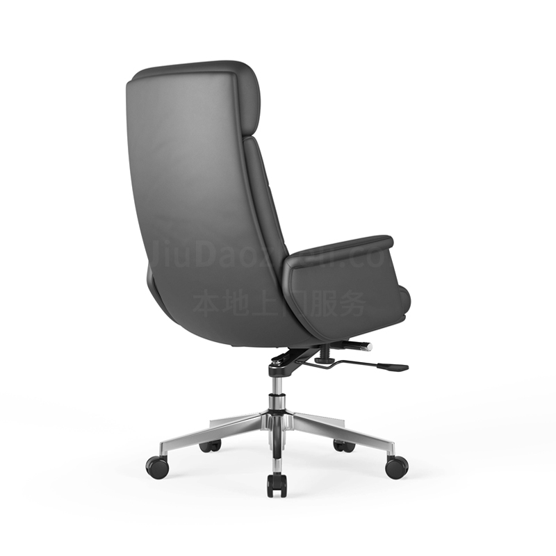 Sitzone南京办公椅图5，艾丽卡Erica高背办公椅 简配