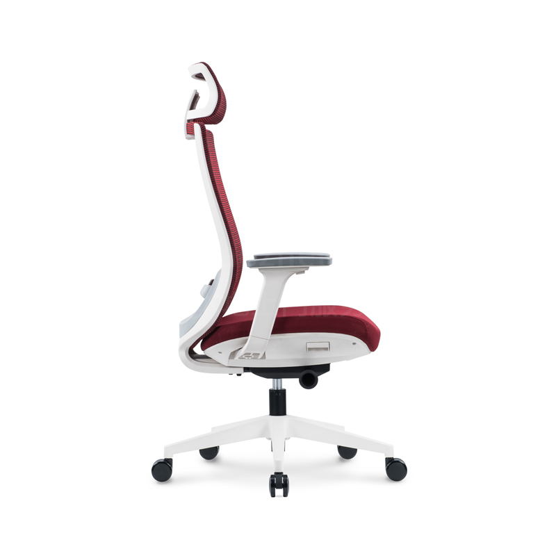 Sitzone南京办公椅图4，盖拉森Glass人体工学椅 白框