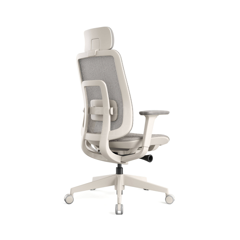 Sitzone南京办公椅图5，如奕Renata人体工学椅 全网 白框