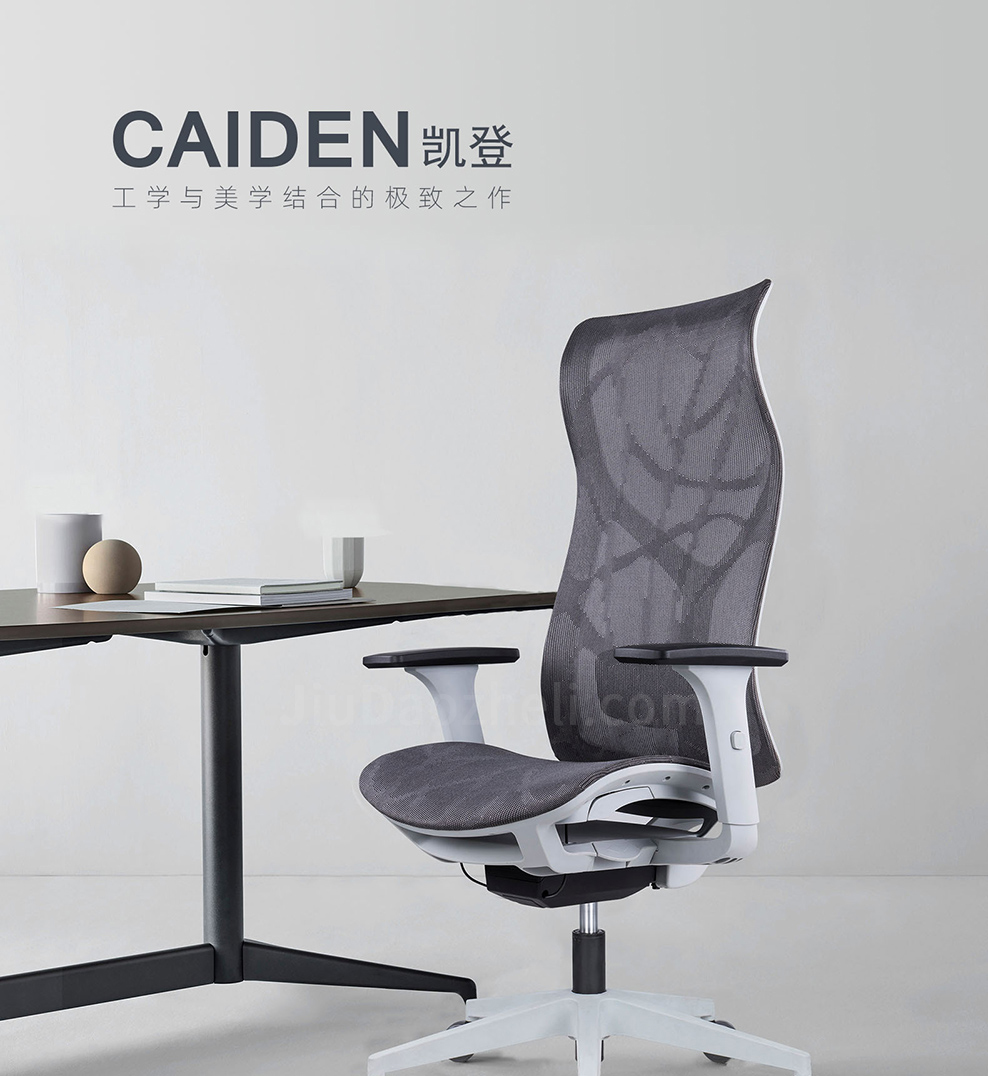 南京办公椅/Caiden网布高背椅/Caiden人体工学椅